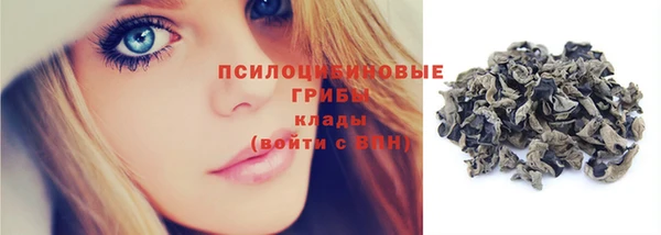 гашик Нефтегорск
