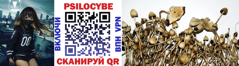 Галлюциногенные грибы прущие грибы Сясьстрой