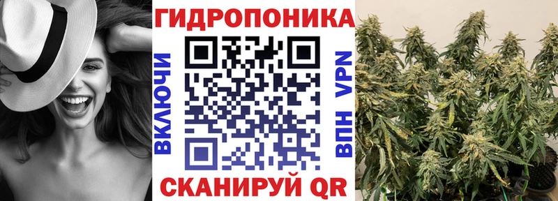 Бошки марихуана семена Сясьстрой